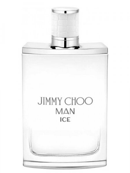 Jimmy Choo Man Ice EDT 100 ml Erkek Parfümü kullananlar yorumlar